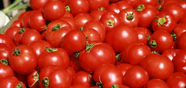 العراق يفتح استيراد محصول الطماطم بكميات مقننة ولمدة محدودة