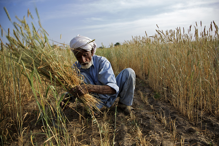 الزراعة تعلن حل مشكلة مستحقات الفلاحين بما فيها إقليم كوردستان