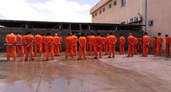 Kurdistan arrests 31 drug traffickers